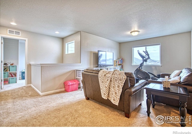 1420 S Lotus Dr, Milliken, CO 80543 - photo 15