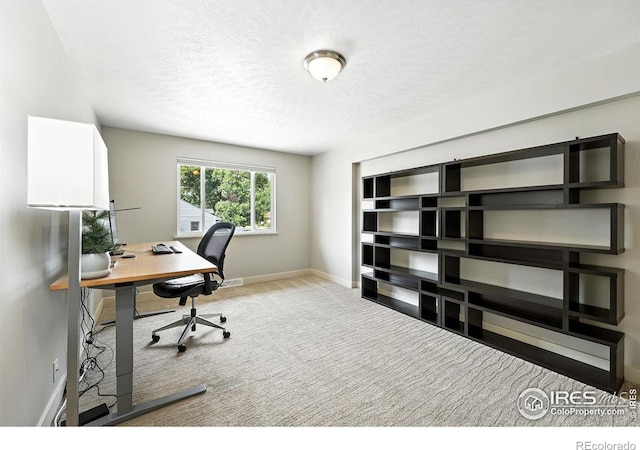 1217 Sycamore St, Fort Collins, CO 80521 - carpeted office space featuring baseboards and a textured ceiling