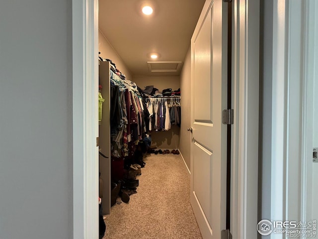 117 N 66th Ave, Greeley, CO 80634 - walk in closet featuring carpet floors and attic access