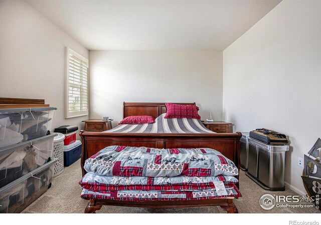 4596 Hatcher Dr, Brighton, CO 80601 - photo 9