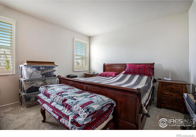 4596 Hatcher Dr, Brighton, CO 80601 - photo 10