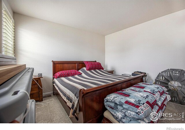 4596 Hatcher Dr, Brighton, CO 80601 - photo 11