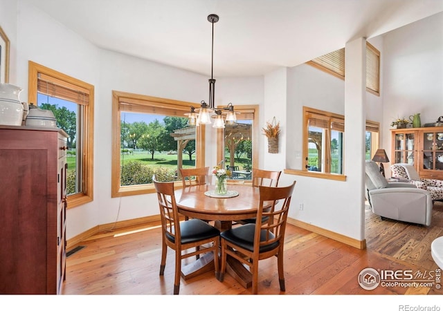 39224 Longs Peak Ct, Severance, CO 80610 - photo 7