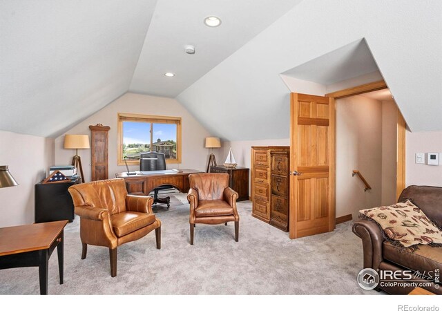39224 Longs Peak Ct, Severance, CO 80610 - photo 18