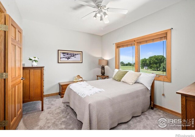 39224 Longs Peak Ct, Severance, CO 80610 - photo 23