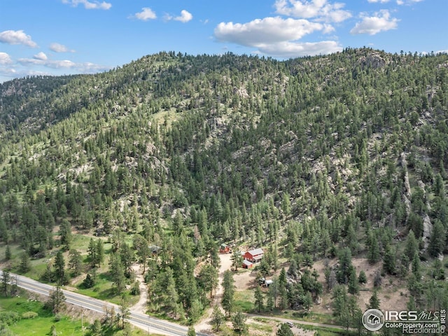 6761 US Highway 36, Estes Park, CO 80517 - photo 18