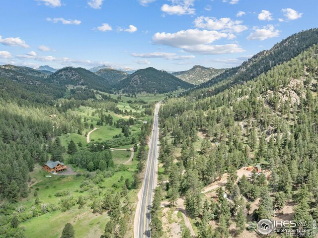 6761 US Highway 36, Estes Park, CO 80517 - photo 19