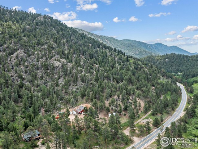 6761 US Highway 36, Estes Park, CO 80517 - photo 21