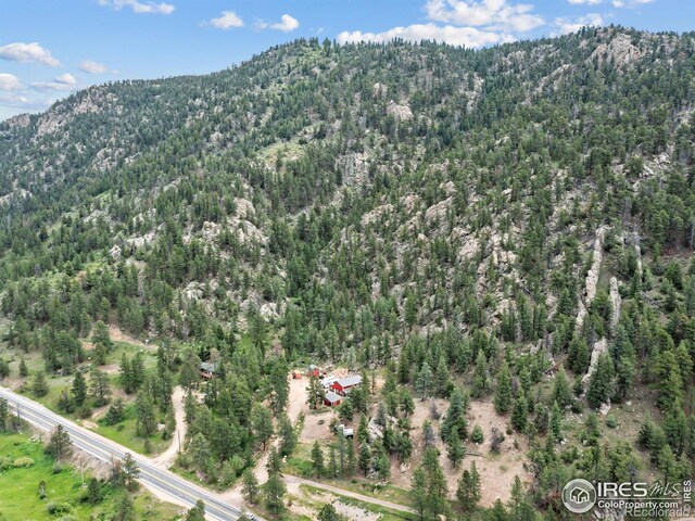 6761 US Highway 36, Estes Park, CO 80517 - photo 25
