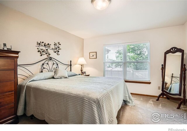 11156 W 64th Pl, Arvada, CO 80004 - photo 18