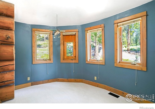 24043 Eagle Cliff Trl, Conifer, CO 80433 - carpeted spare room with plenty of natural light
