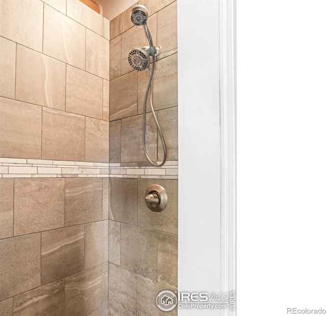24043 Eagle Cliff Trl, Conifer, CO 80433 - bathroom view of tiled shower