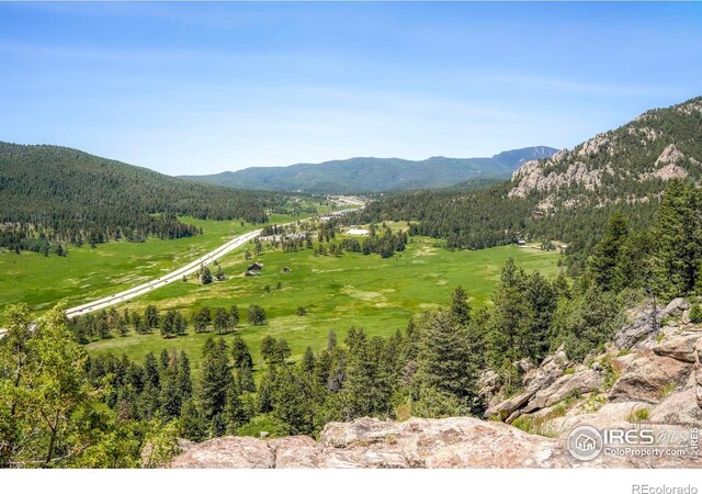24043 Eagle Cliff Trl, Conifer, CO 80433 - mountain view featuring a forest