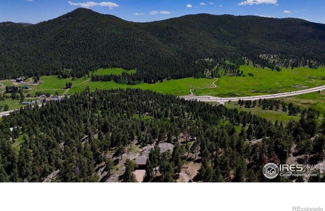 24043 Eagle Cliff Trl, Conifer, CO 80433