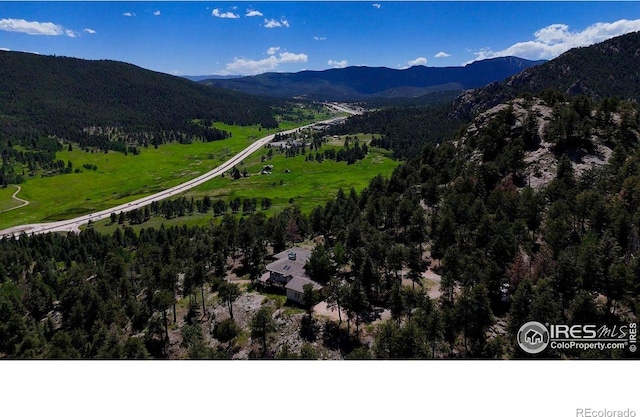 24043 Eagle Cliff Trl, Conifer, CO 80433 - photo 35