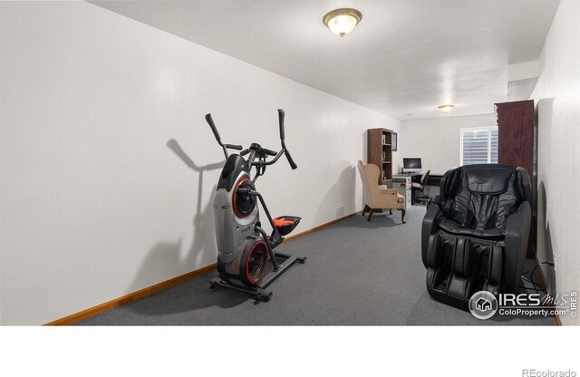 587 Sherri Dr, Loveland, CO 80537 - photo 15