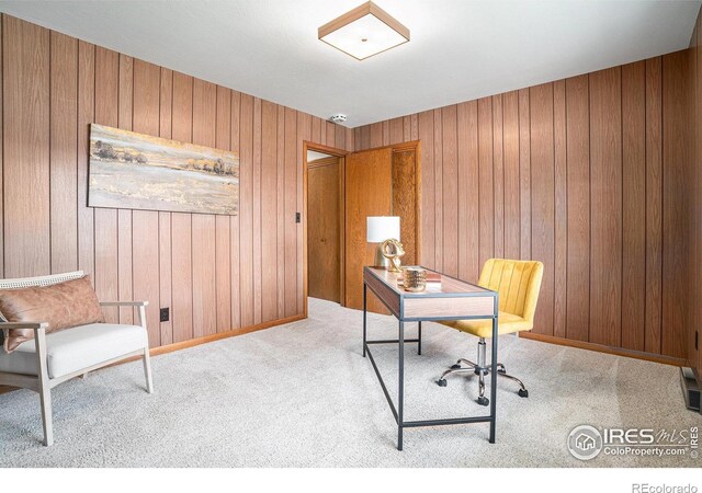 2007 Abeyta Ct, Loveland, CO 80538 - photo 16