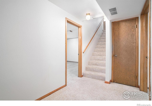 2007 Abeyta Ct, Loveland, CO 80538 - photo 23