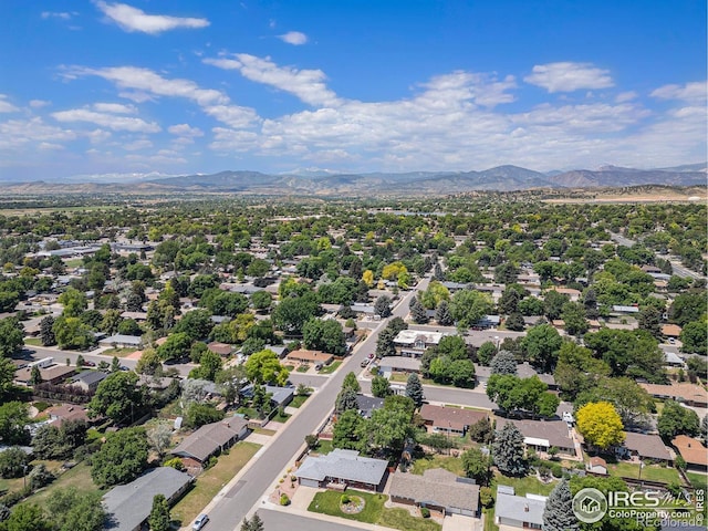2007 Abeyta Ct, Loveland, CO 80538 - photo 33