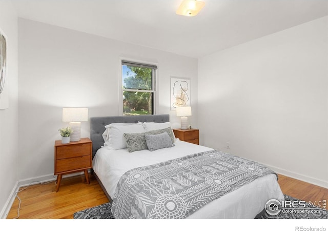 217 Park St, Fort Collins, CO 80521 - photo 18