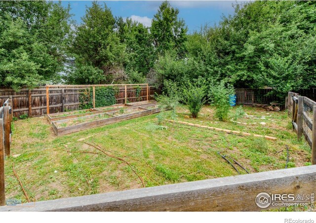 419 Centennial Dr, Louisville, CO 80027 - fenced backyard featuring a garden