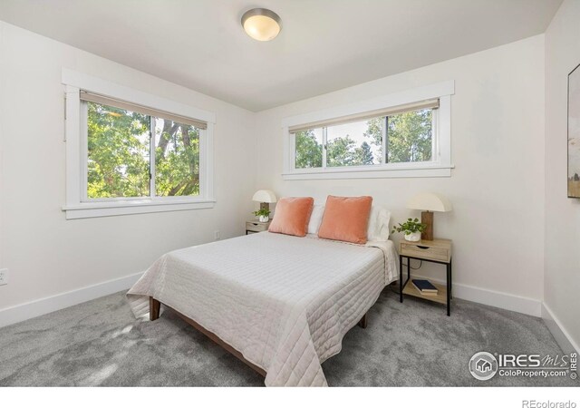 1260 Claremont Dr, Boulder, CO 80305 - bedroom with multiple windows and carpet floors