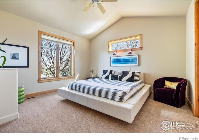 5288 Waterstone Dr, Boulder, CO 80301 - photo 25