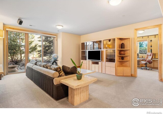 5288 Waterstone Dr, Boulder, CO 80301 - photo 27