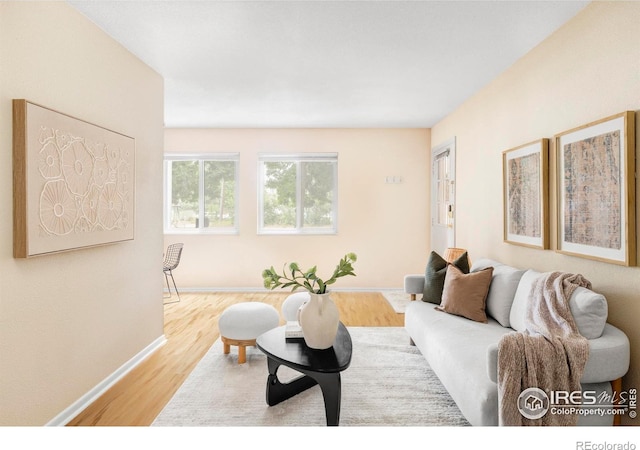 3393 Madison Ave Unit 128, Boulder, CO 80303 - living room with wood finished floors and baseboards