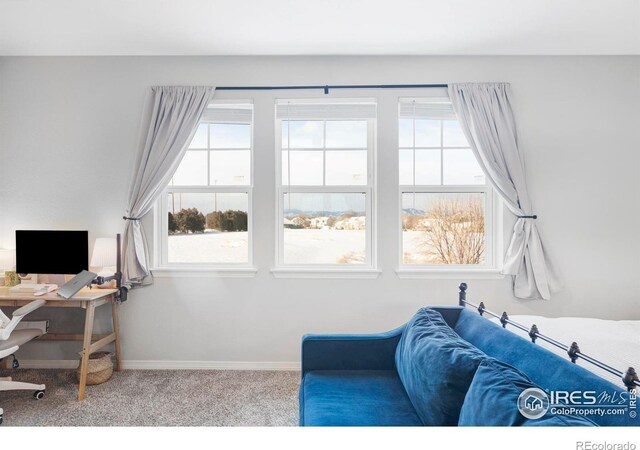897 Winding Brook Dr, Berthoud, CO 80513 - carpeted home office with baseboards