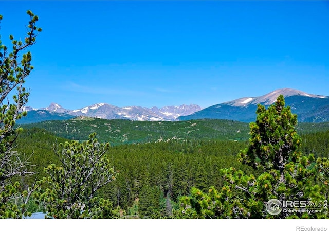 0 Pine Cone Cir, Ward, CO 80481 - photo 3