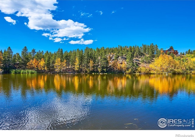 0 Pine Cone Cir, Ward, CO 80481 - photo 2