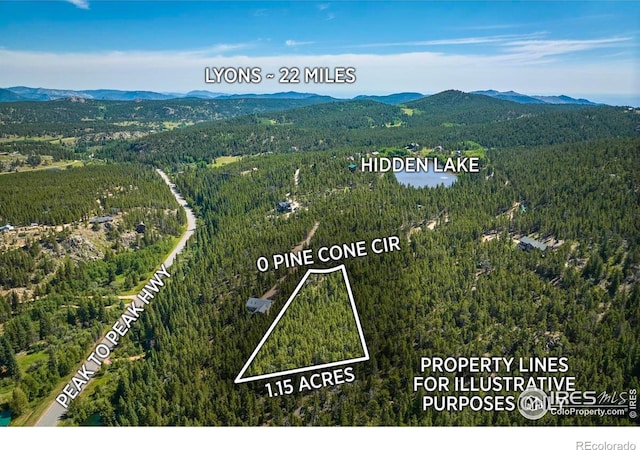 0 Pine Cone Cir, Ward, CO 80481 - photo 4