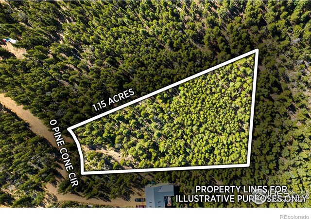 0 Pine Cone Cir, Ward, CO 80481 - photo 5