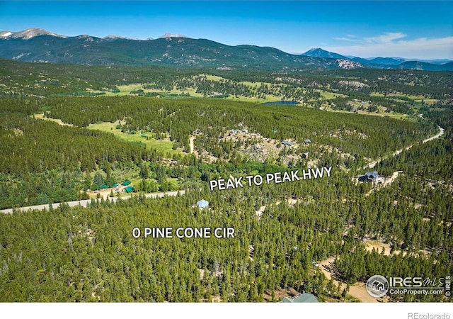 0 Pine Cone Cir, Ward, CO 80481 - photo 6