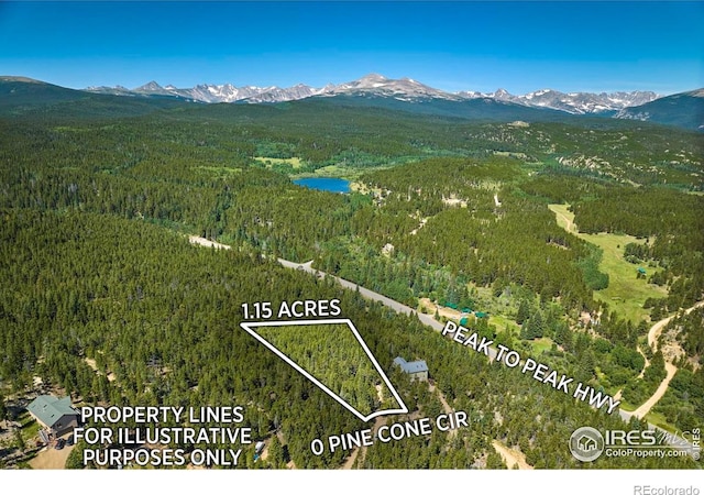 0 Pine Cone Cir, Ward, CO 80481 - photo 7