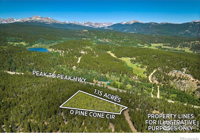 0 Pine Cone Cir, Ward, CO 80481 - photo 8
