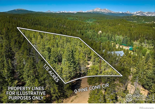 0 Pine Cone Cir, Ward, CO 80481 - photo 10