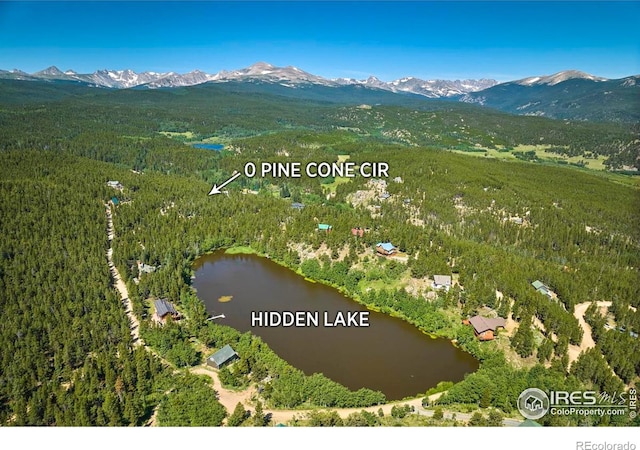 0 Pine Cone Cir, Ward, CO 80481 - photo 11