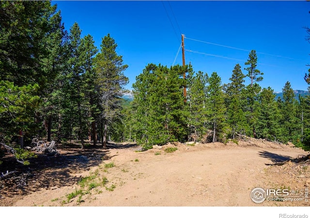 0 Pine Cone Cir, Ward, CO 80481 - photo 12