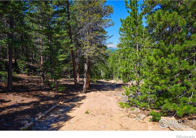 0 Pine Cone Cir, Ward, CO 80481 - photo 13