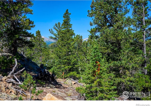 0 Pine Cone Cir, Ward, CO 80481 - photo 16