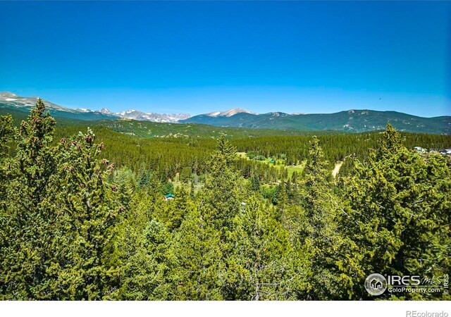 0 Pine Cone Cir, Ward, CO 80481 - photo 19