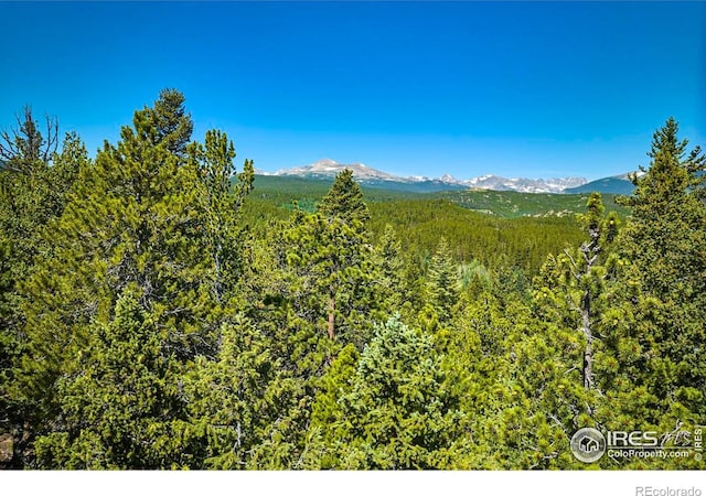 0 Pine Cone Cir, Ward, CO 80481 - photo 20