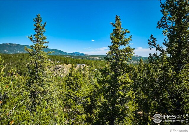 0 Pine Cone Cir, Ward, CO 80481 - photo 21