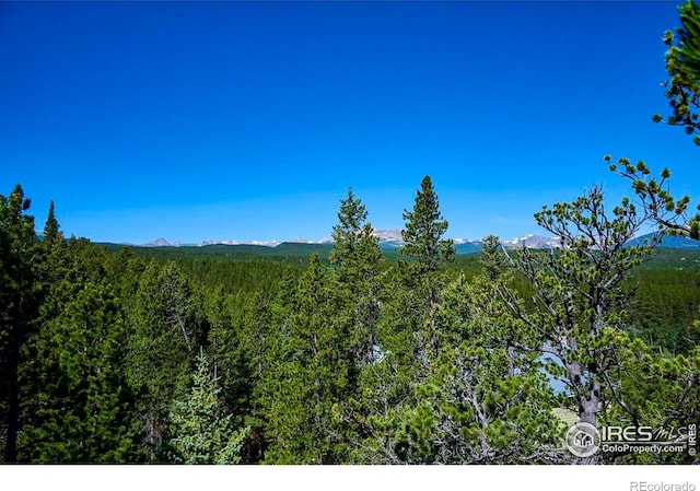 0 Pine Cone Cir, Ward, CO 80481 - photo 22