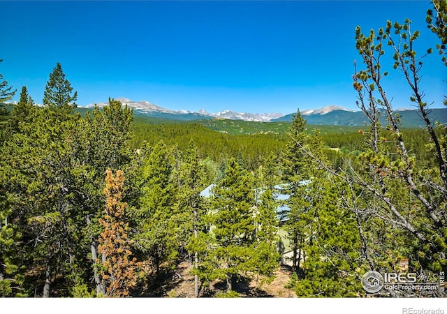 0 Pine Cone Cir, Ward, CO 80481 - photo 23