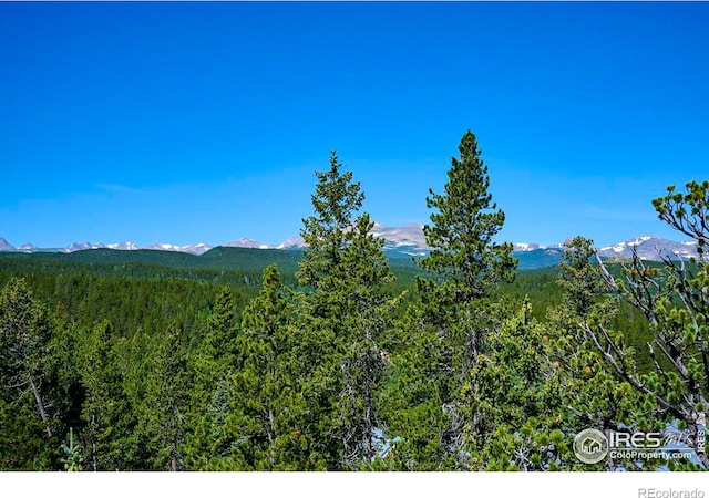 0 Pine Cone Cir, Ward, CO 80481 - photo 24