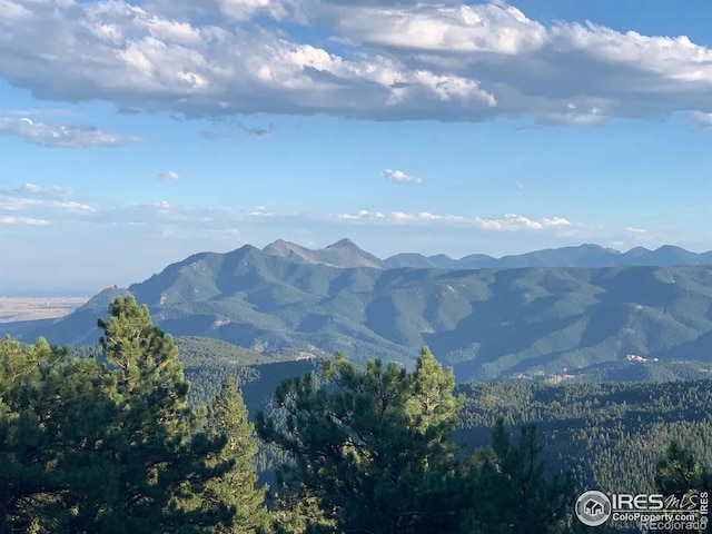 311 Sky Trail Rd, Boulder, CO 80302 - view of mountain background featuring a forest