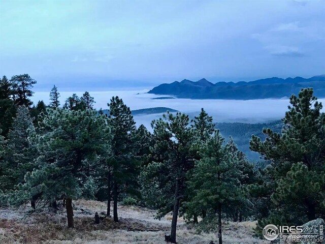 311 Sky Trail Rd, Boulder, CO 80302 - view of mountain background